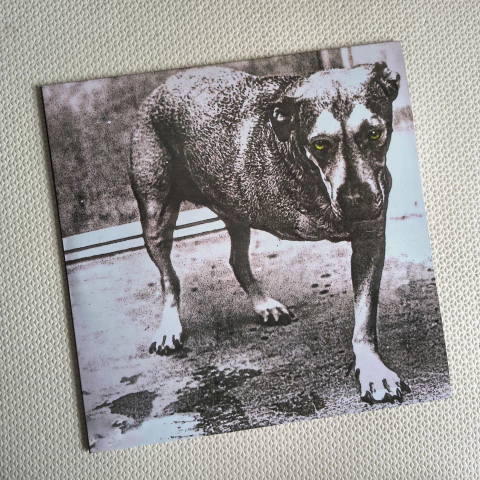 Alice In Chains - Tripod Vinil Duplo Colorido - comprar online