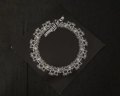 Amplifires - Good Times LP