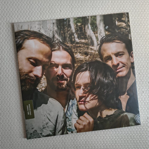 Big Thief – Two Hands Vinil Lacrado - comprar online