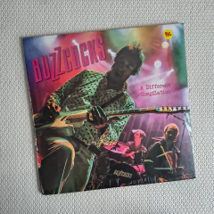 Buzzcocks – A Different Compilation Vinil Duplo Lacrado - comprar online