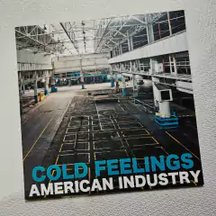 Cold Feelings - American Industry Vinil 2013