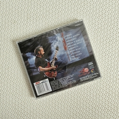 Daryl Stuermer – Go CD Acrilico 2007 na internet