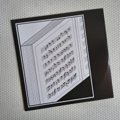 Das Ding – H.S.T.A. Vinil 2012 na internet