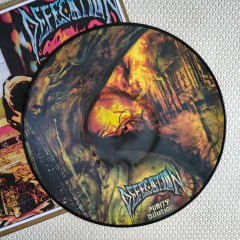 Defecation – Purity Dilution Vinil Picture - comprar online