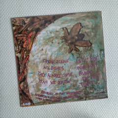 Dinosaur Jr. - Bug Vinil Lacrado na internet