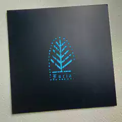 Furia - Grudzien Za Grudniem Vinil White 2010