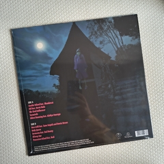 Gorillaz – Cracker Island Vinil Lacrado na internet