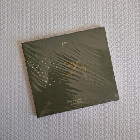 Guri Assis Brasil – Quando Calou-se A Multidão CD - comprar online