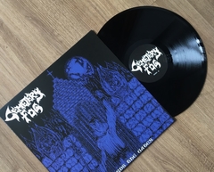 Cemetery Fog -Towards The Gates 12'' na internet