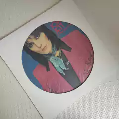 Joan Jett & The Blackhearts - I Love Rock 'N Roll Vinil picture 1982 - comprar online