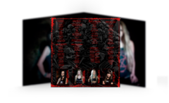Nervosa - Perpetual Chaos LP Preto - loja online