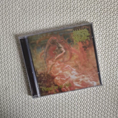 Morbid Angel – Blessed Are The Sick CD Argentina - comprar online