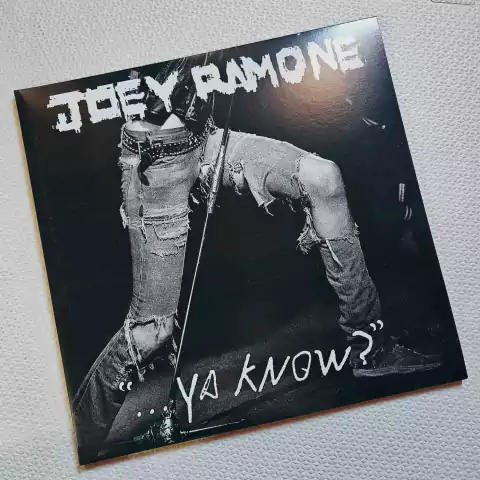 Joey Ramone - ... Ya Know? Vinil Duplo Usado
