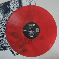 The Offspring - The Offspring Vinil 2016 na internet