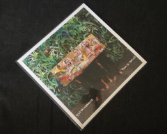 Elo Da Corrente - Rosa de Jericó LP