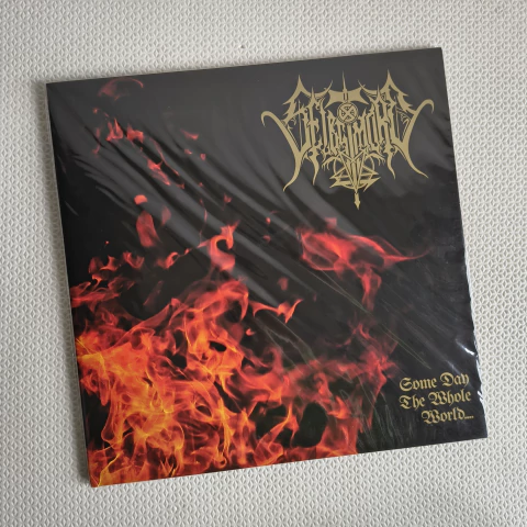 Selbstmord - Some Day The Whole World... Vinil 2019 - comprar online