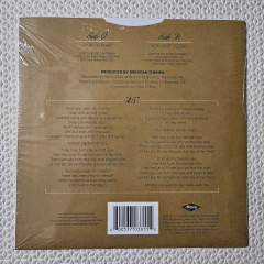 The Gaslight Anthem – "Forty-Five" / You Got Lucky Vinil 7" na internet
