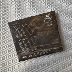 The Gentle Storm – The Diary CD Lacrado na internet