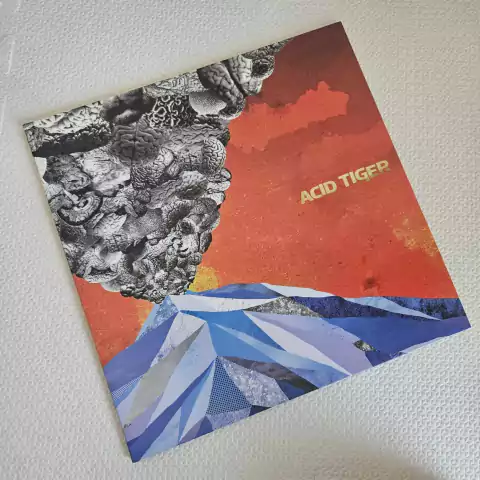 Acid Tiger - Acid Tiger Vinil 2010