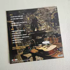 Flogging Molly - Float Vinil Lacrado 2007 - comprar online