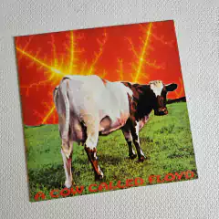 The Junkie Jesus Freud Project - A Cow Called Floyd Vinil 1993 na internet