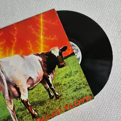 The Junkie Jesus Freud Project - A Cow Called Floyd Vinil 1993