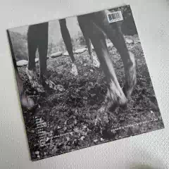 Pearl Jam - Vs. Vinil Lacrado - comprar online