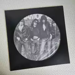 Ramones - Ramones Vinil Picture - comprar online