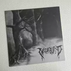 Nordwind - Walk To The Woods / Nordwind Vinil 2013