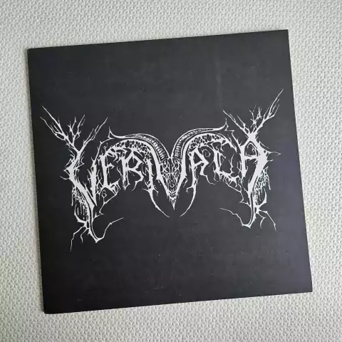 Verivala - Voittomme Vinil 2004