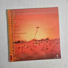 Clutch - Clutch Vinil 2018 - comprar online