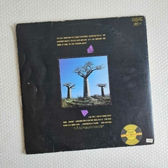 Pink Floyd – Delicate Sound Of Thunder Vinil Duplo Brasil - comprar online