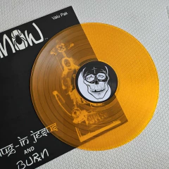 Dr. Know - Plug-In Jesus And Burn Vinil Gold 2008 na internet
