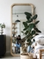 ESPEJO MERY - Meraki Decoración