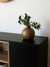MUEBLE LAQUEADO + PETIRIBI en internet