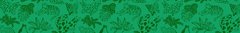 Banner de la categoría Gatitxs