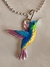 conjunto colibri de buenos aires