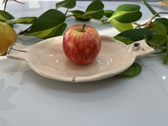 Plato Semi Hondo de Osito Chiquito ideal para comer frutas en internet