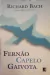 Livro Fernão Capelo Gaivota de Richard Bach