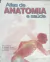 Livro Atlas de Anatomia e Saúde de Xavier Crespo; Nuria Curell; Jordi Curell
