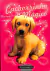Livro Cachorrinho Mágico: um novo começo 1ª Edição de Sue Bentley