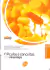 Livro Cálculos e conceitos em farmacologia 15ª Edição de Ana Beatriz C. B. Destruti