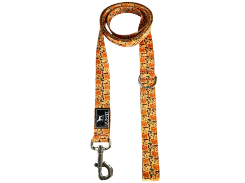 Correa Moderna 2 Metros Lyon Pet Otoño - comprar online