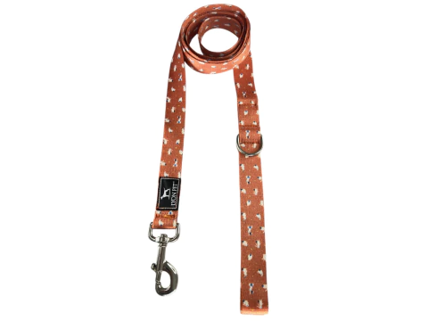 Correa Moderna 2 Metros Lyon Pet Rabbit - comprar online