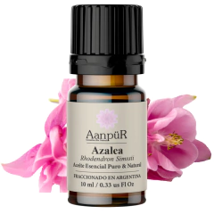 AZALEA - comprar online