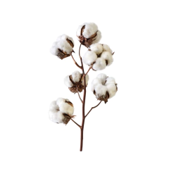 Aceite de Algodón para Masajes Ayurvédicos en internet