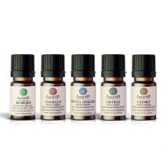 Kit 5 Caída del Cabello - Bio Tienda