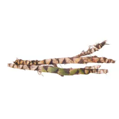 Cálamo - comprar online