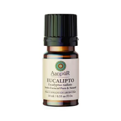 Eucalipto