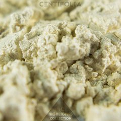 Centifolia - comprar online